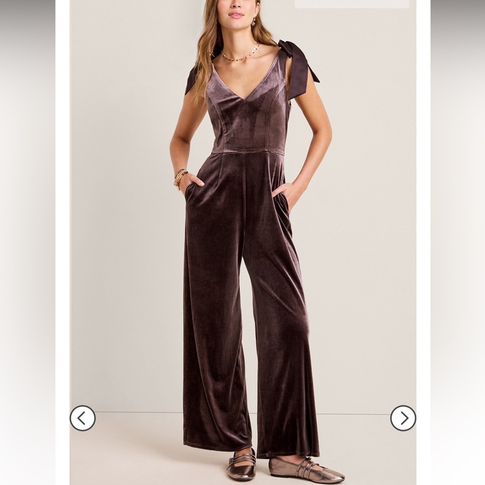 Francesca's Collections Chocolate Velvet Jumpsuit